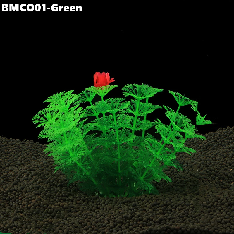 BMCO02 (4)