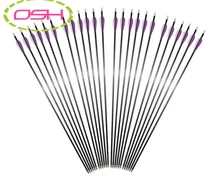 100 Pcs Replaceable Arrowheads Hunting Shooting Carbon Arrows Purple white feather Target Practice Broadheads for Recurve Bow