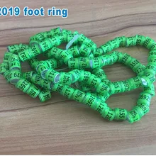 Зеленый голубь кольца NL птица кольцо