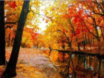 

Natural landscape Diamond Painting bank Natural scenery DIY Diamond embroidery full round color bank scenic Diamond painting