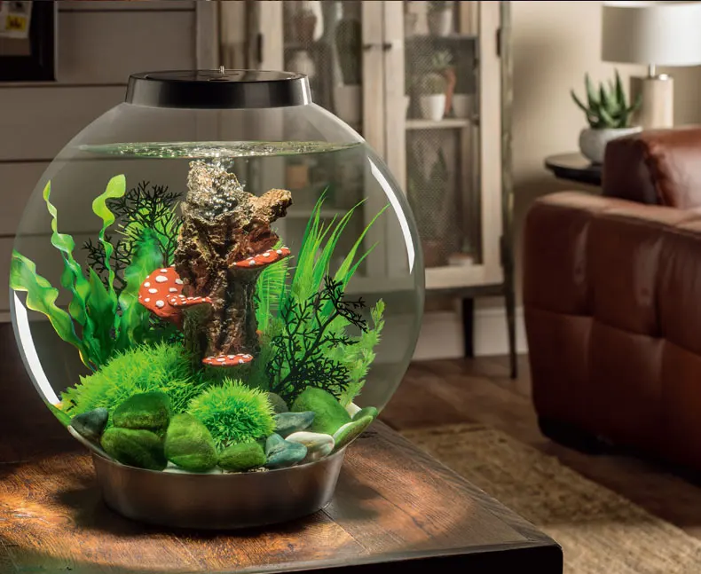 5a7962a2N0faff3cd