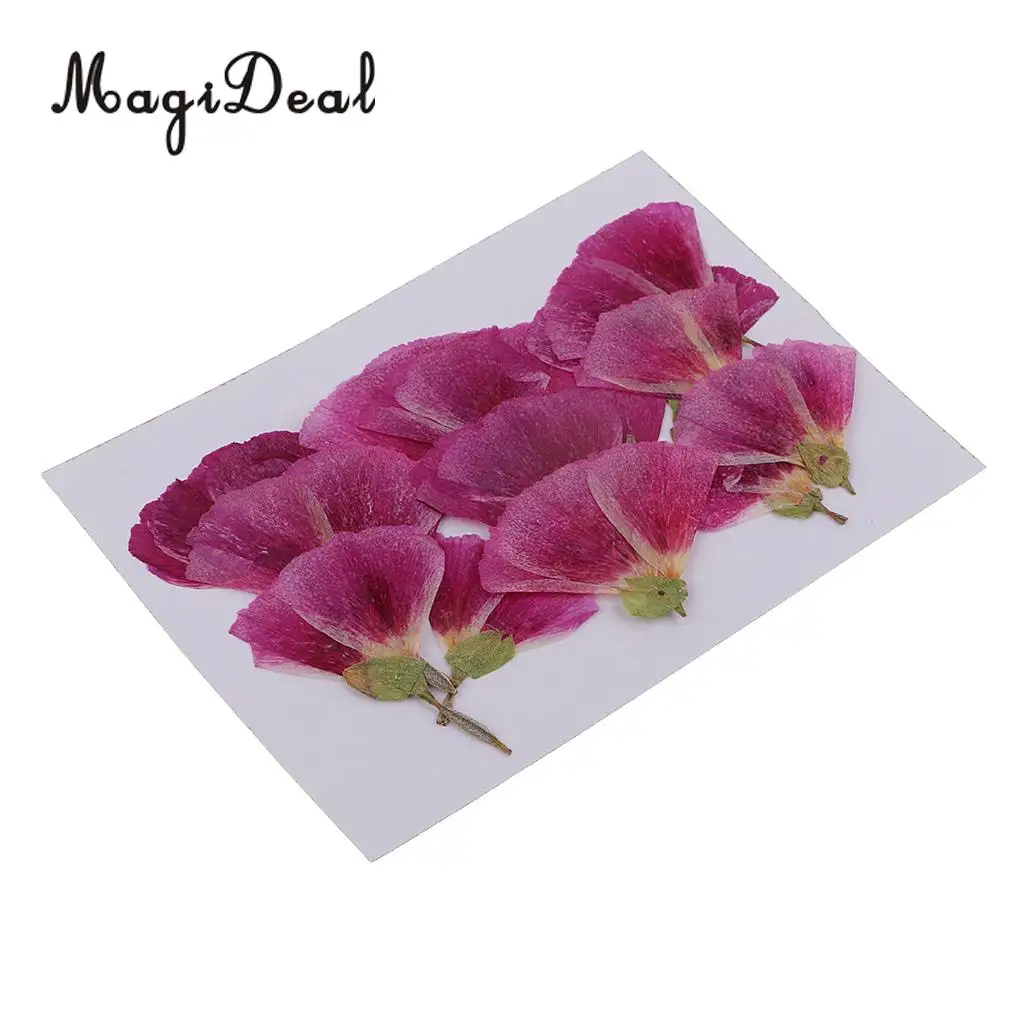 12pcs Beautiful Godetia Real Pressed Natural Dried Flowers for Art Craft Scrapbooking Card Making Resin Jewelry Making Craft DIY