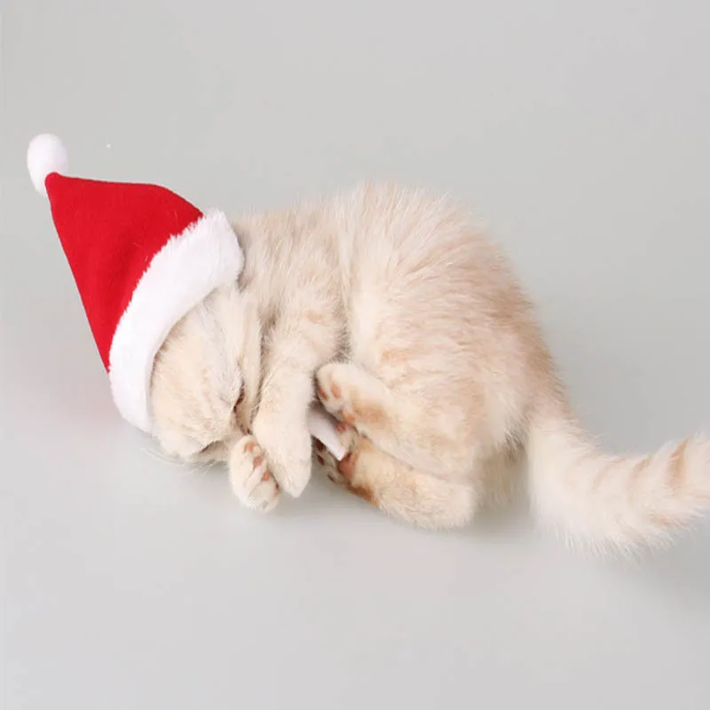 Ganyue Рождество Собака Кошка шапка и шарф собак Санта шляпу животное аксессуары