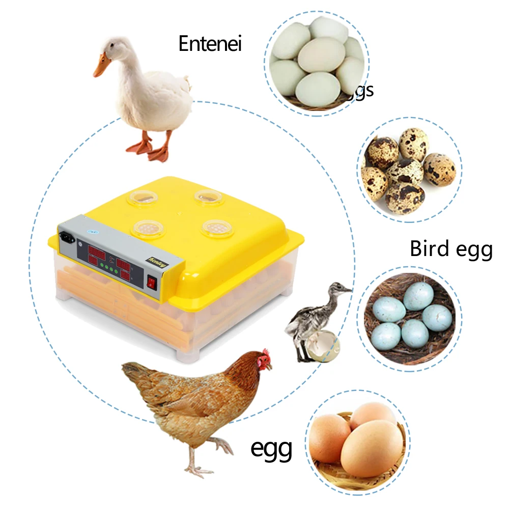 

EU & AU Warehouse Safe Mini 48 Eggs Incubator Large Capacity Hatcher Brooder Incubation Equipment CE Certificate ZZ-48