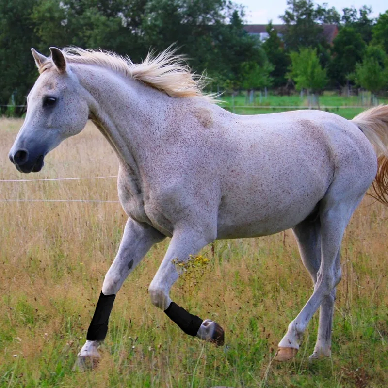 Сапоги для верховой езды в стиле «Hisea»; paardensport; каваловый конный спорт; herraduras para caballo; защита для верховой езды; высокая эластичность