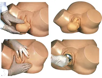 

Midwifery training model child deliver teaching equipment Dystocia delivery Model: KF-F8