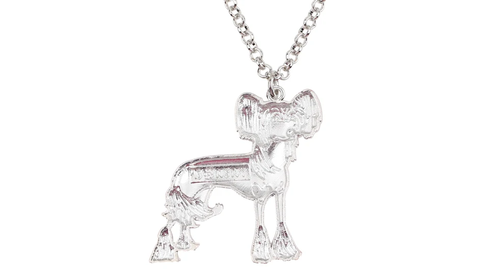Bonsny Эмаль сплав Китайская хохлатая собака ожерелье с цепочкой, Чокер Модные подвески, ювелирные изделия для женская обувь аксессуары оптом домашних животных