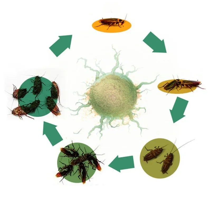 50 мешков самая мощная приманка для уничтожения тараканов-вредителей эффективный контроль от комаров тараканов убийца домашнего садоводства инсектицид