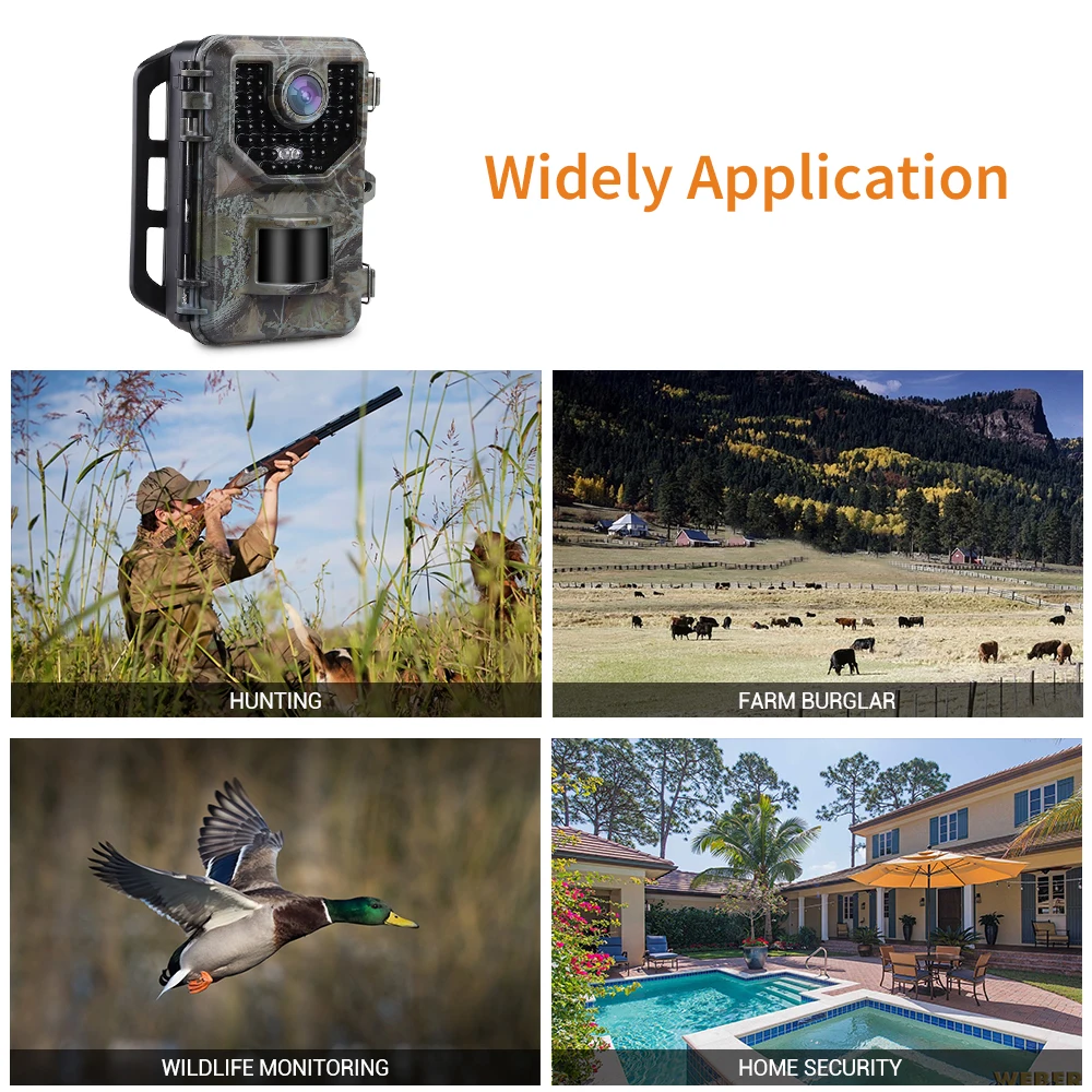 BOBLOV E2 Trail камера 16MP 1080P 48 шт. Инфракрасные светодиоды охотничья камера водонепроницаемая уличная камера Wild Gamge фото ловушки