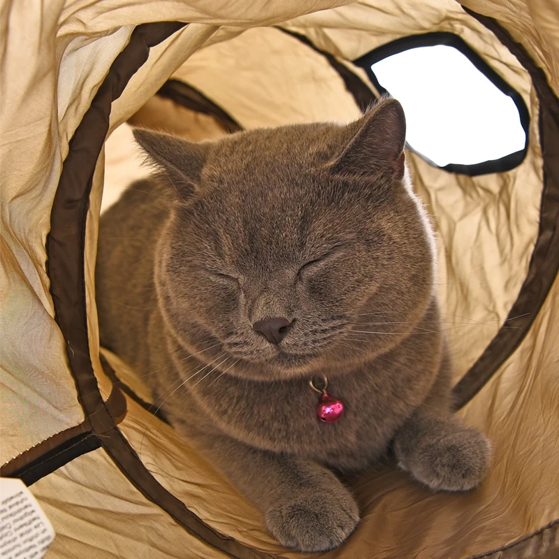 cat play tunnels