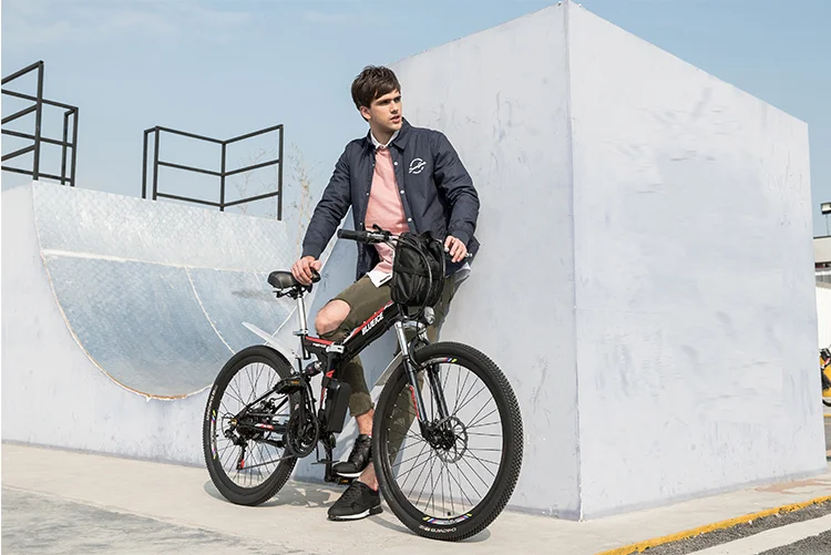 folding scooter (3)