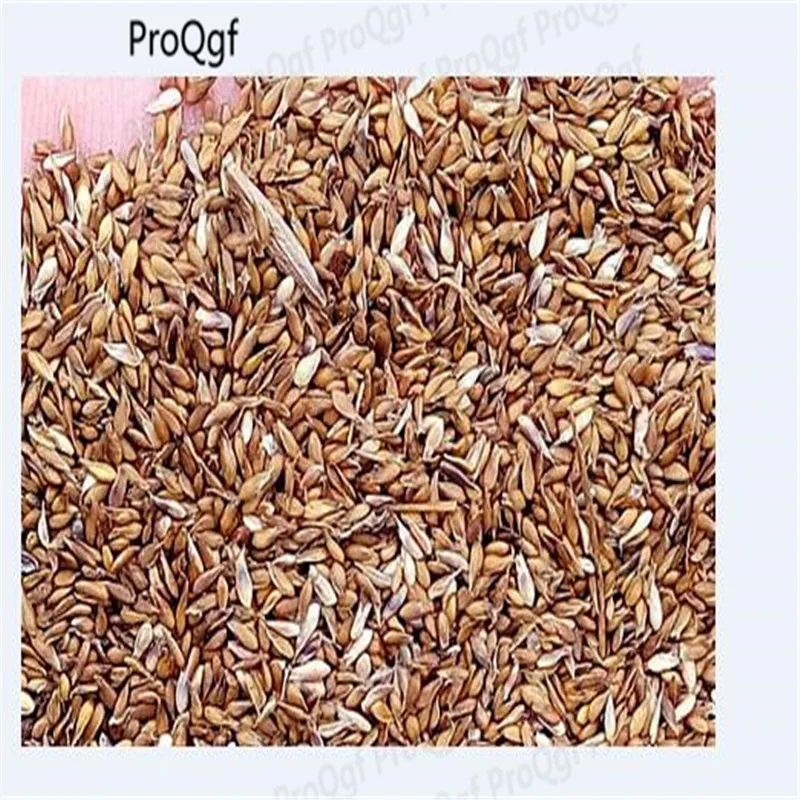 

30000Pcs Zoysia japonica see details