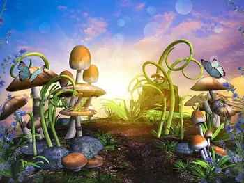 

Enchanted Fairy Garden mushrooms sunrise bokeh fairy tale backgrounds Computer print children kids backdrops
