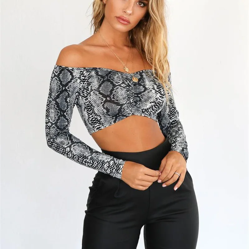 shopify_6f16b69b58f376a2b22baa