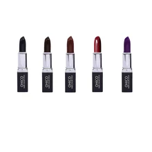 Абсолютно растительный экстракт смываемый временный окрашивание для волос карандаш губная помада покрытие белых волос