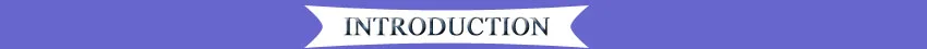 introuduction