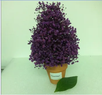 

Mother's Day diy gifts DIY decoration Long time Lasting preserved Sky stars flowers for furnishing with all inds of colors