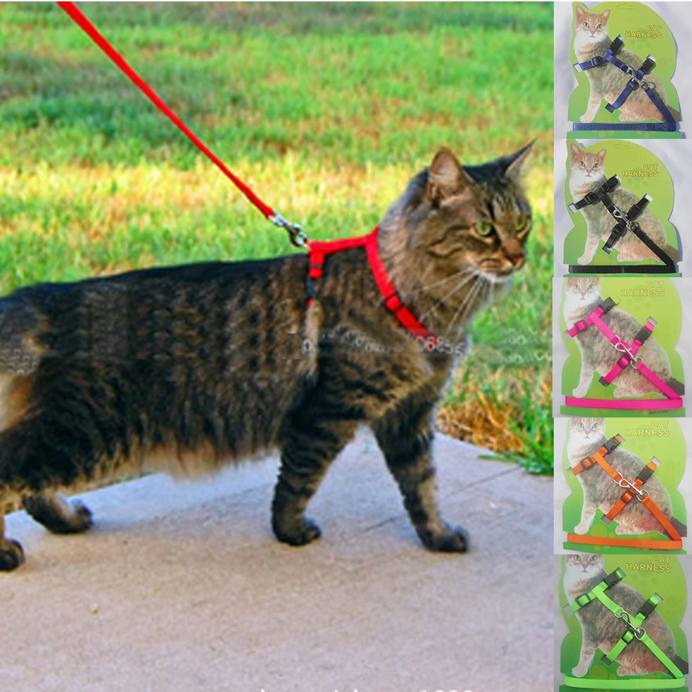 

Easy Adjustable Anti-pull Dog Cat Pet Walking Training Lead Leash Harness Belt