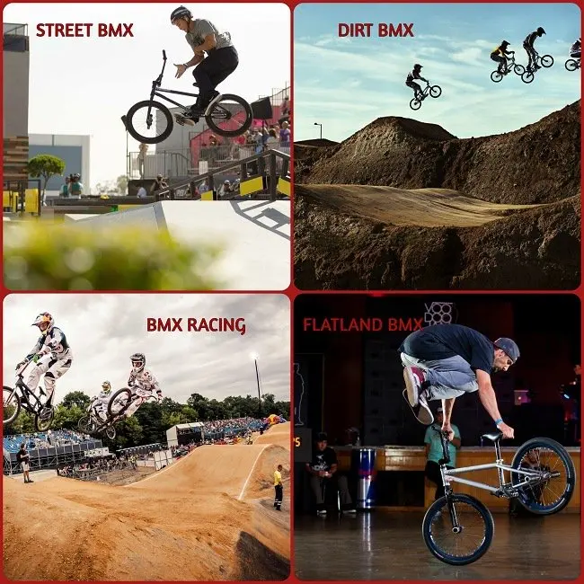BMX-Types