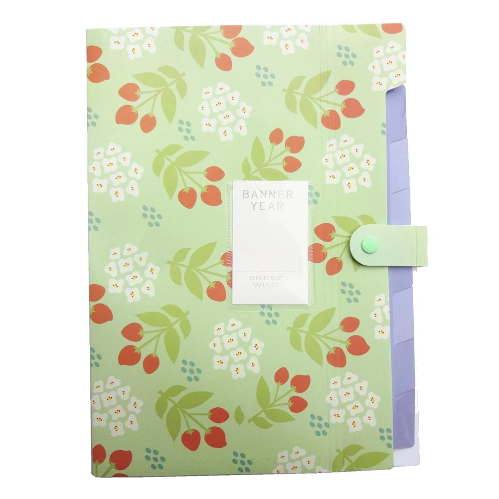 

New Portable Accordion Document Expanding File Folder, Letter Size and A4 File Organizer,8 Pockets,green