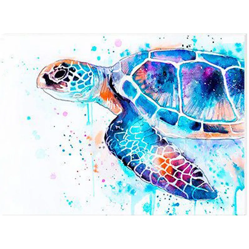 Turtle Fish Paint Jinx