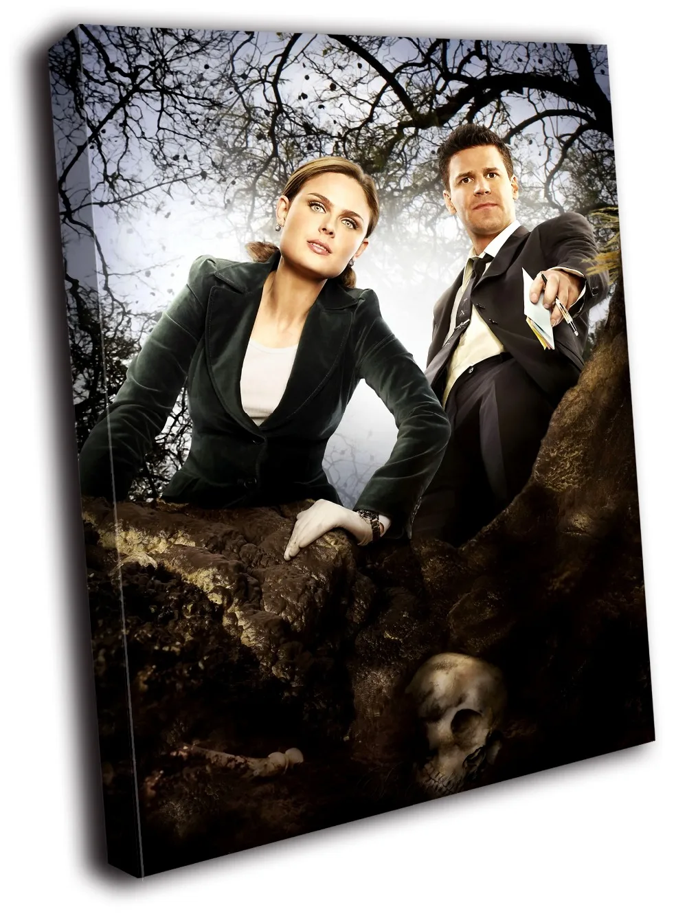 

HD Canvas Printings Painting-Skull Emily Deschanel David Boreanaz Bones TV Series D5945
