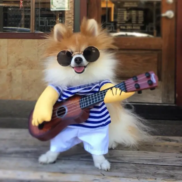 Dogbaby Halloween Costumes Vêtements Pour Animaux