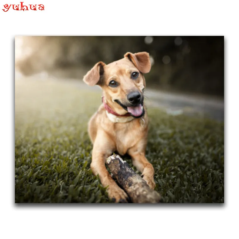 DIY 3D Diamond mosaic paintings Full Square Diamond embroidery dierlijk Full Round Diamond painting Cross stitch Animal dogs_