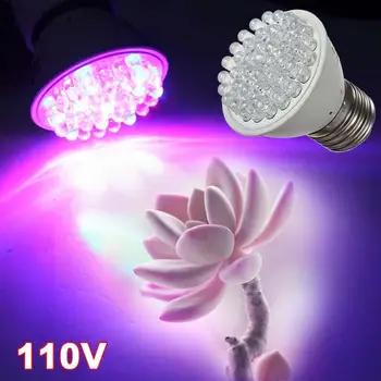 

Promotions E27 1.9W 38LED Red Blue Hydroponic Plant LED Grow Light Bulb Lamp 110V fruits led lights best grow lights