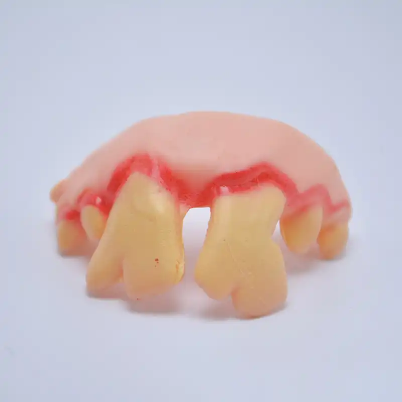 false teeth teether