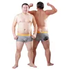 2017 New Arrival Bear Claw Men's Plus Size Boxers Bear Paw Underwear Designed For Gay Bear 6 Colours Free Shipping! M L XL XXL 2