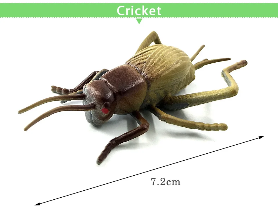 12 шт. модель животного насекомых фигурка Стрекоза Жук паук муравей Кузнечик Mantis таракан крикет Горячая игрушка набор для детей