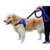 Pet Products