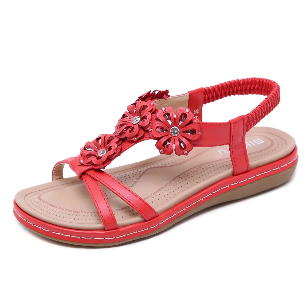 1P4A4518