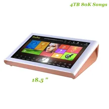 GymSong 18.5" Android Linux 4Tb HDD Karaoke Machine set