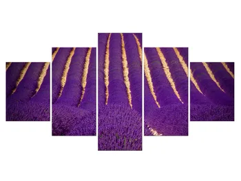 

5 Pieces Fashion Purple Flower Sea Wall Art Painting By Numbers Modern Lavender Living Room Wall Picture Decoracion Framed