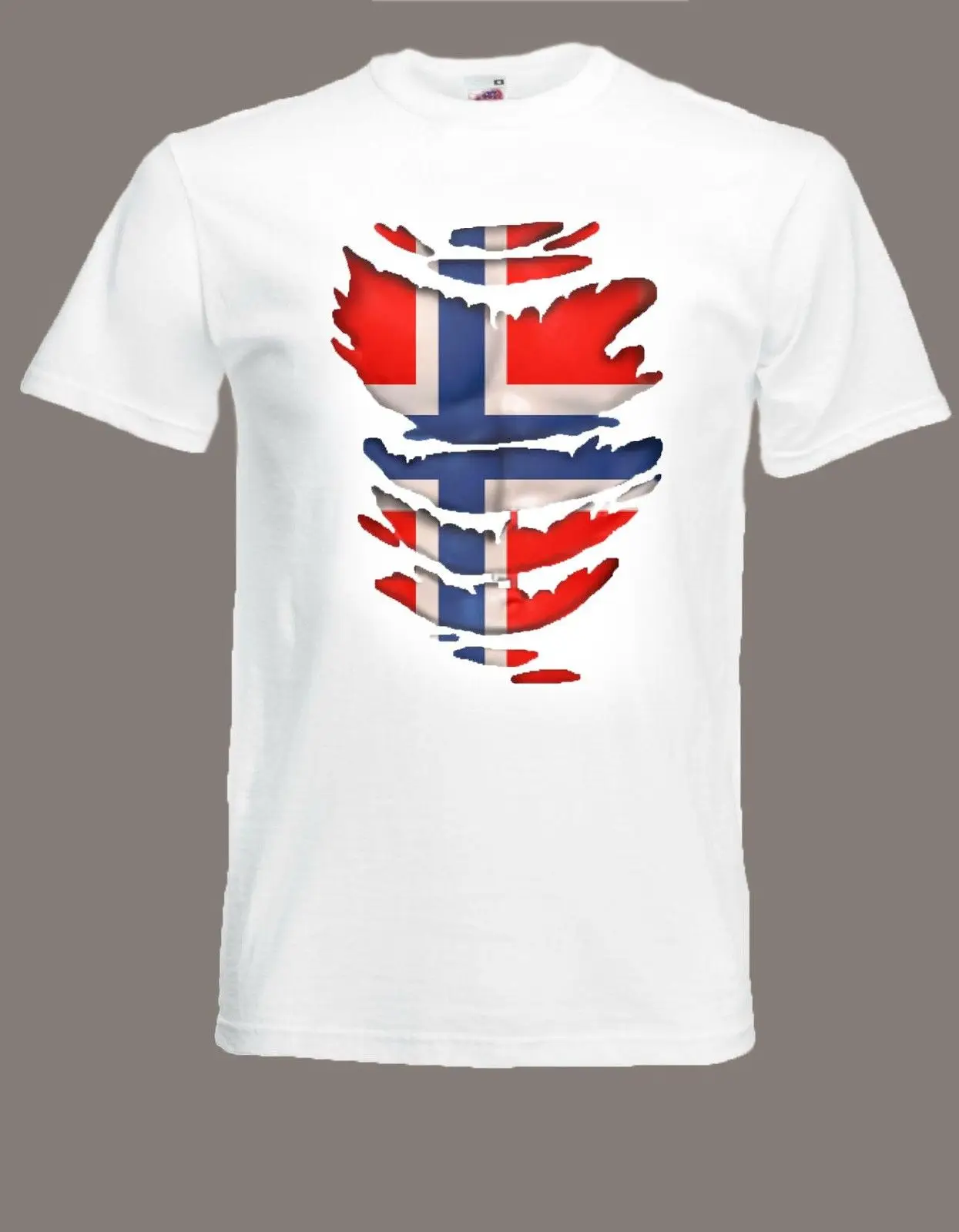 American Norwegian Flag Mens Short Sleeve T-Shirt Print Tees Tops