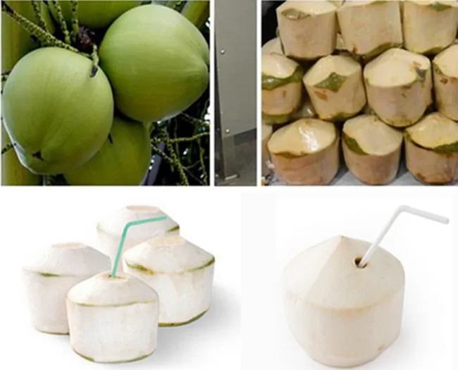 coconut skin remover_