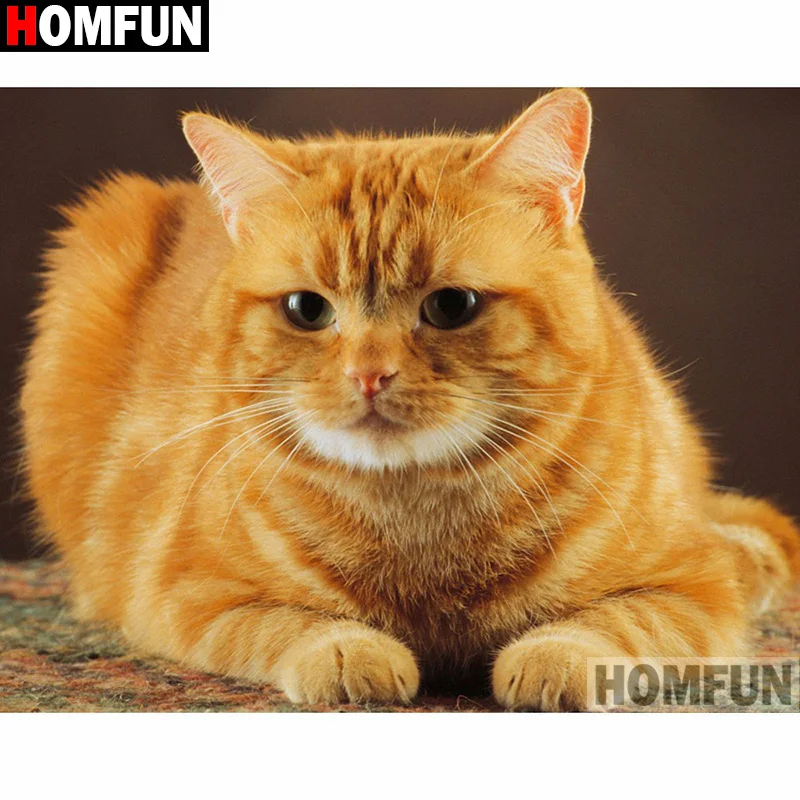 Алмазная живопись HOMFUN A16397 картина Кот с квадратными/круглыми стразами 5D сделай