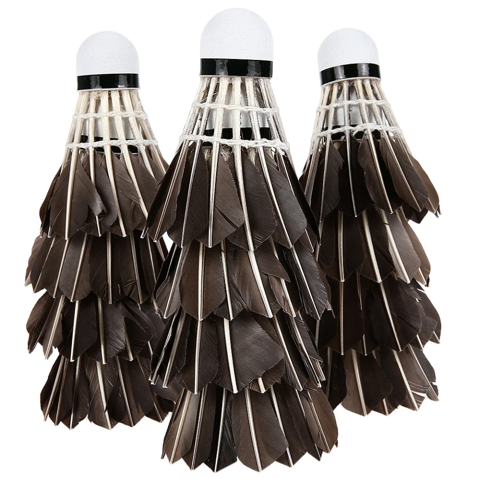 REGAIL-1003-12pcs-lot-Black-Duck-Feather-Shuttlecocks-Birdies-Badminton-Ball-Game-Sport-Training-Shuttlecock-with (1)