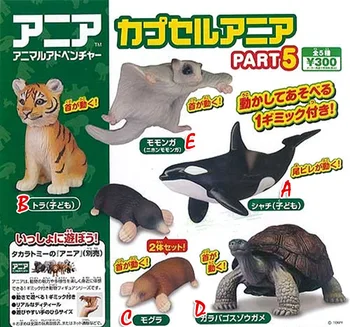 

Japanese original capsule toys wild animals 5 sets Flying squirrel Platypus duckbill tiger Killer Whale Turtle gashapon figures