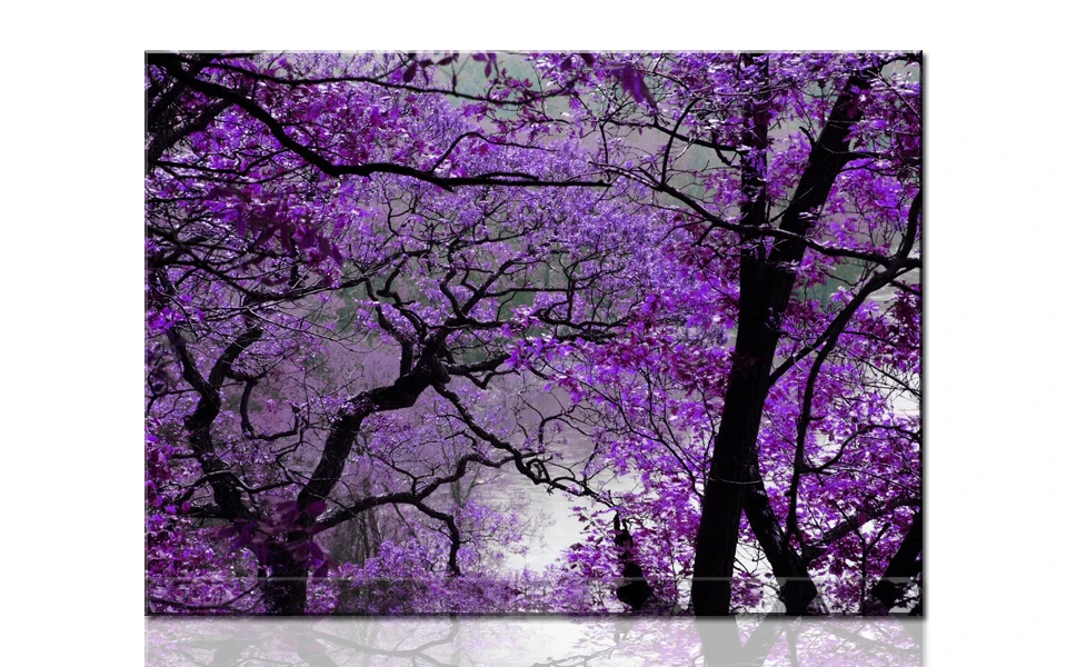 Buy H757 Charming purple flower tree, Great HD Canvas