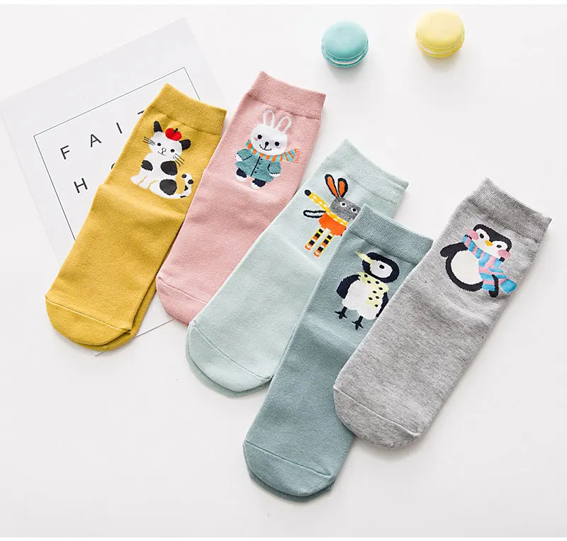 socks_03