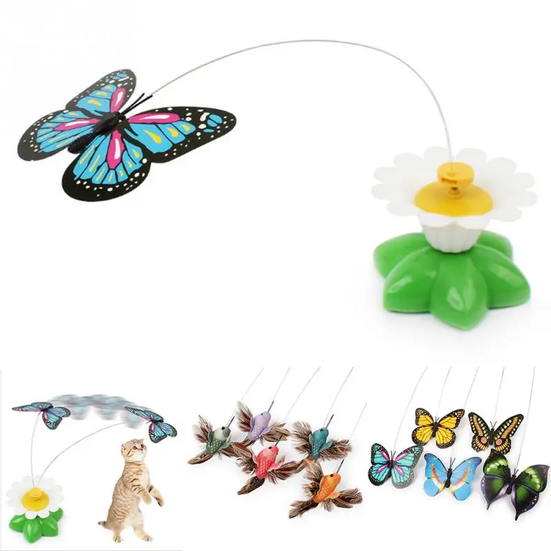 battery operated butterfly cat toy
