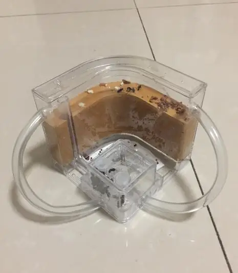 professional-ant-nest (4)