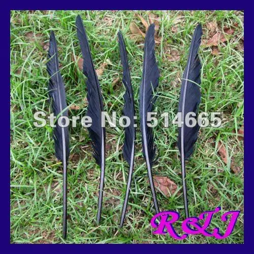 Wholesale geese feather 20 25cm black dyed goose Feather For Party