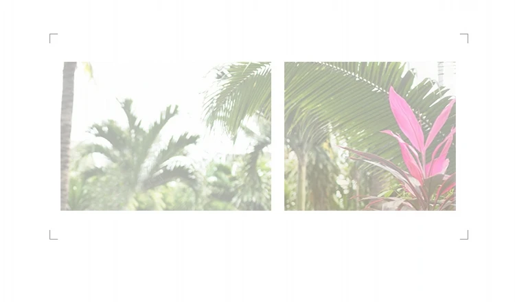 4_conew1