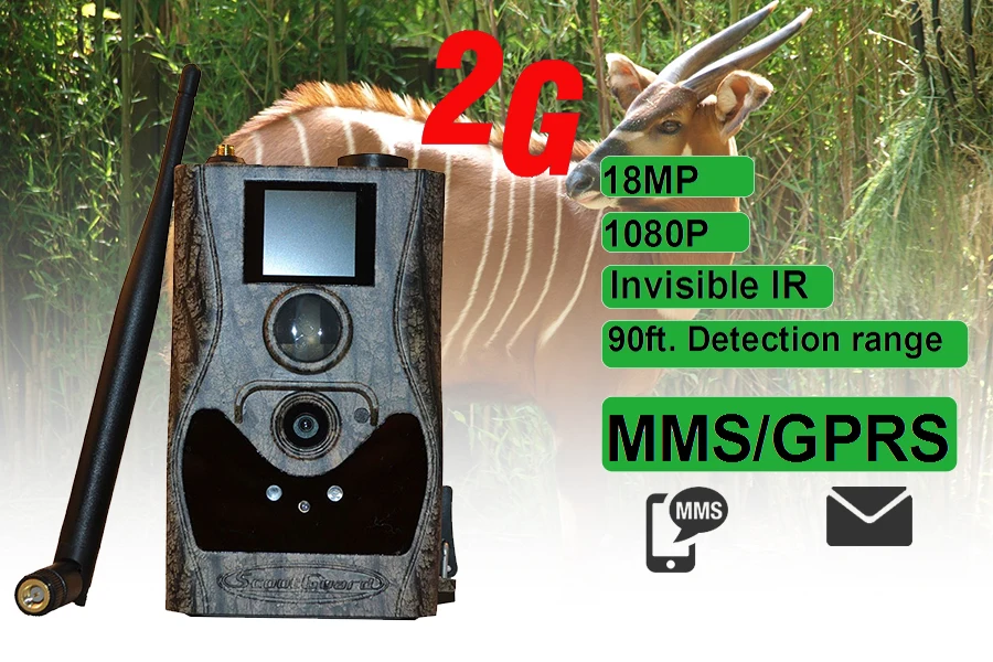 2g