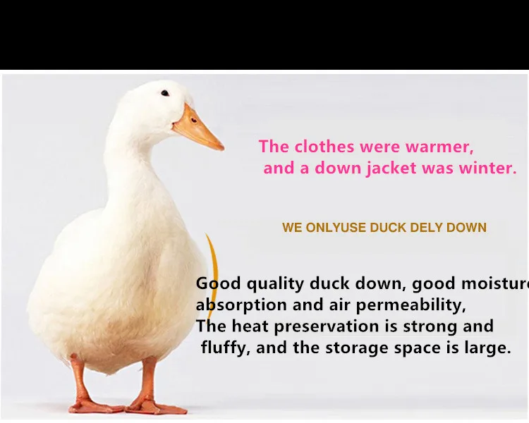 HTB1VETvJhSYBuNjSsphq6zGvVXac