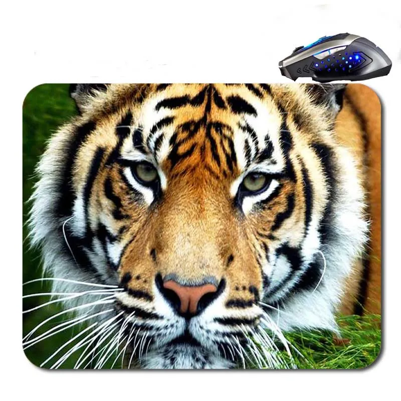 493tiger face